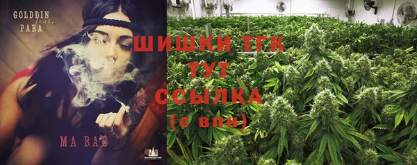 прущие крисы Абаза