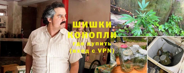 прущие крисы Абаза